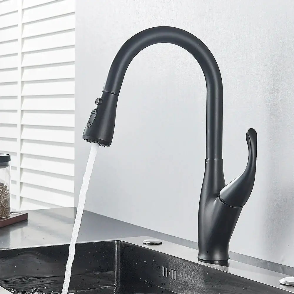 Black Pull-Down Spray Faucet