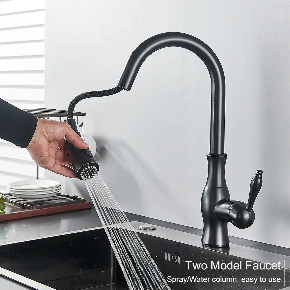 Black Pull-Down Spray Faucet