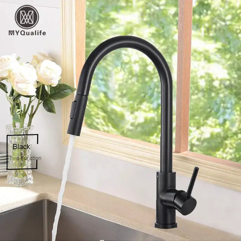 Black Pull-Out Mixer Faucet