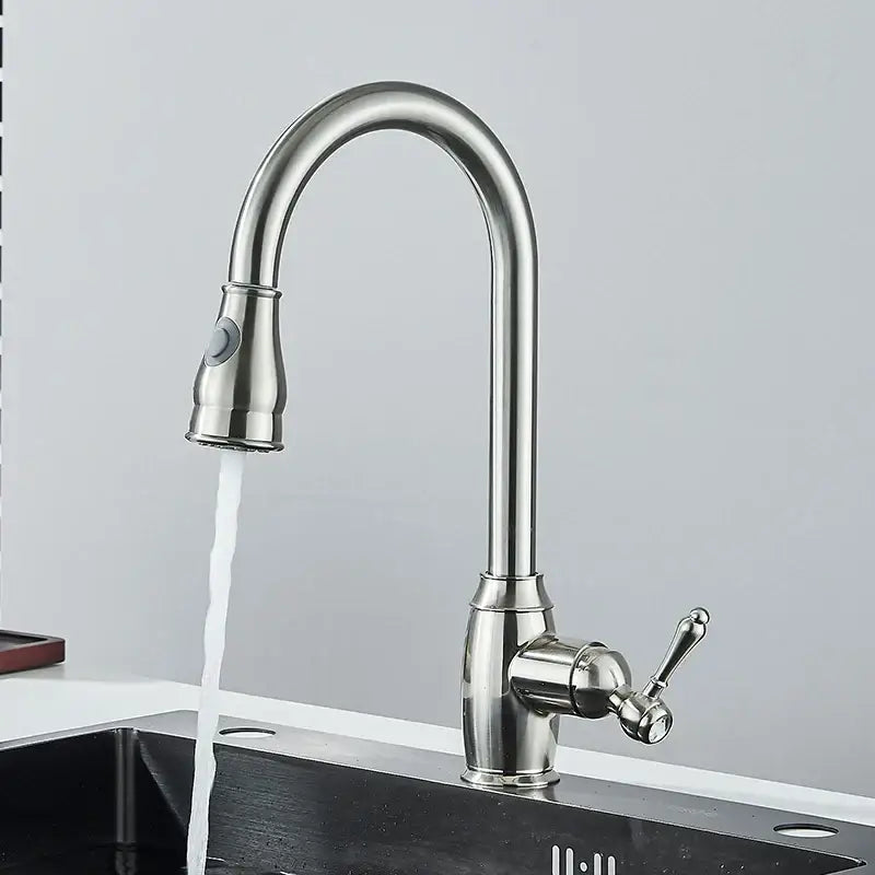 Black Pull-Out Mixer Faucet