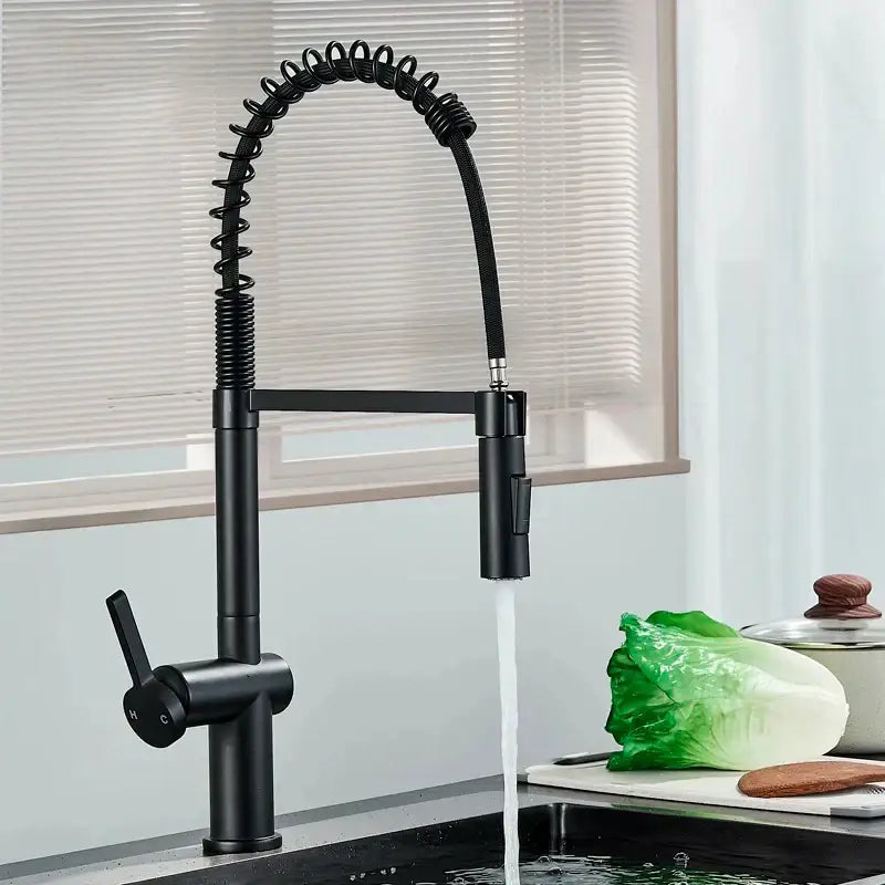 Black Coiled Sprayer Faucet
