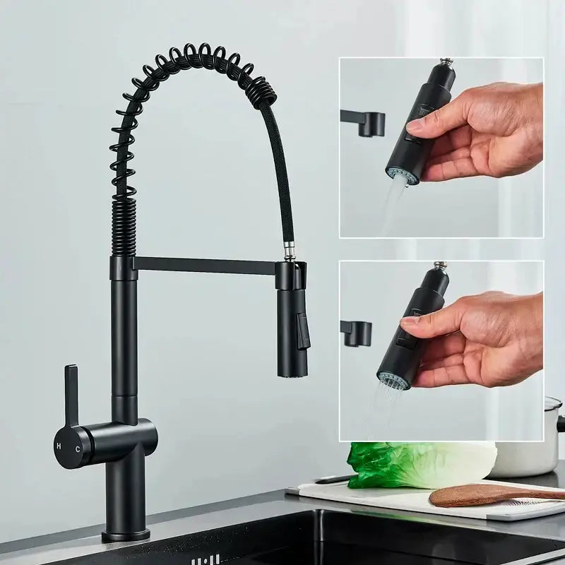 Black Coiled Sprayer Faucet