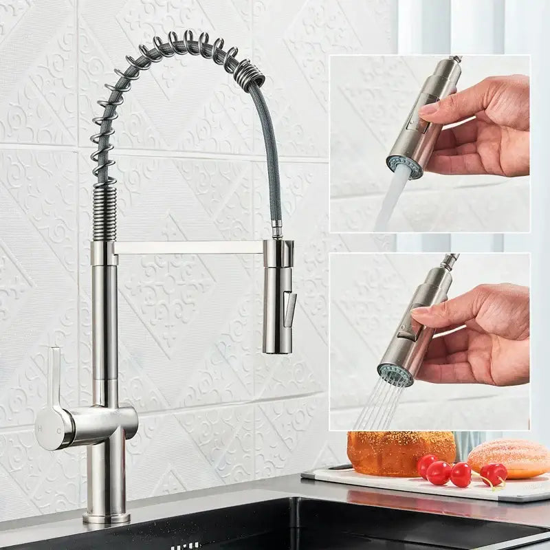 Black Coiled Sprayer Faucet