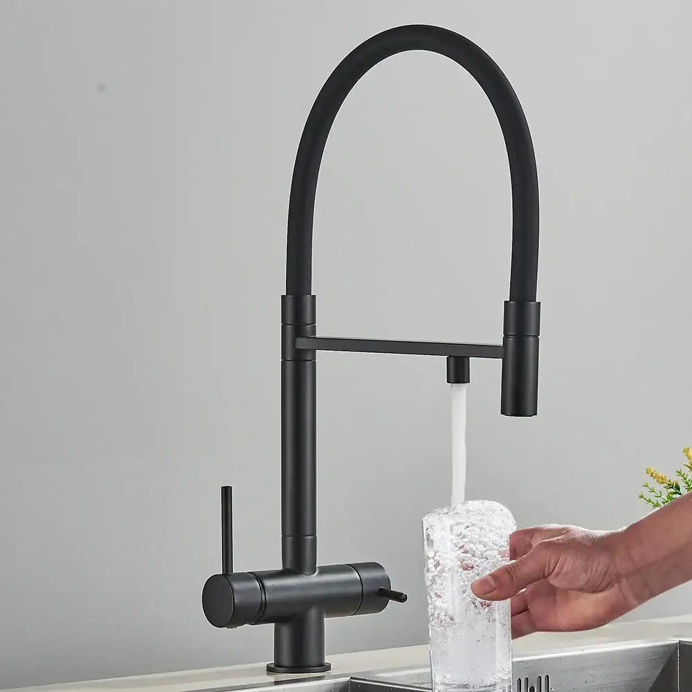Matte Black Purifier Faucet
