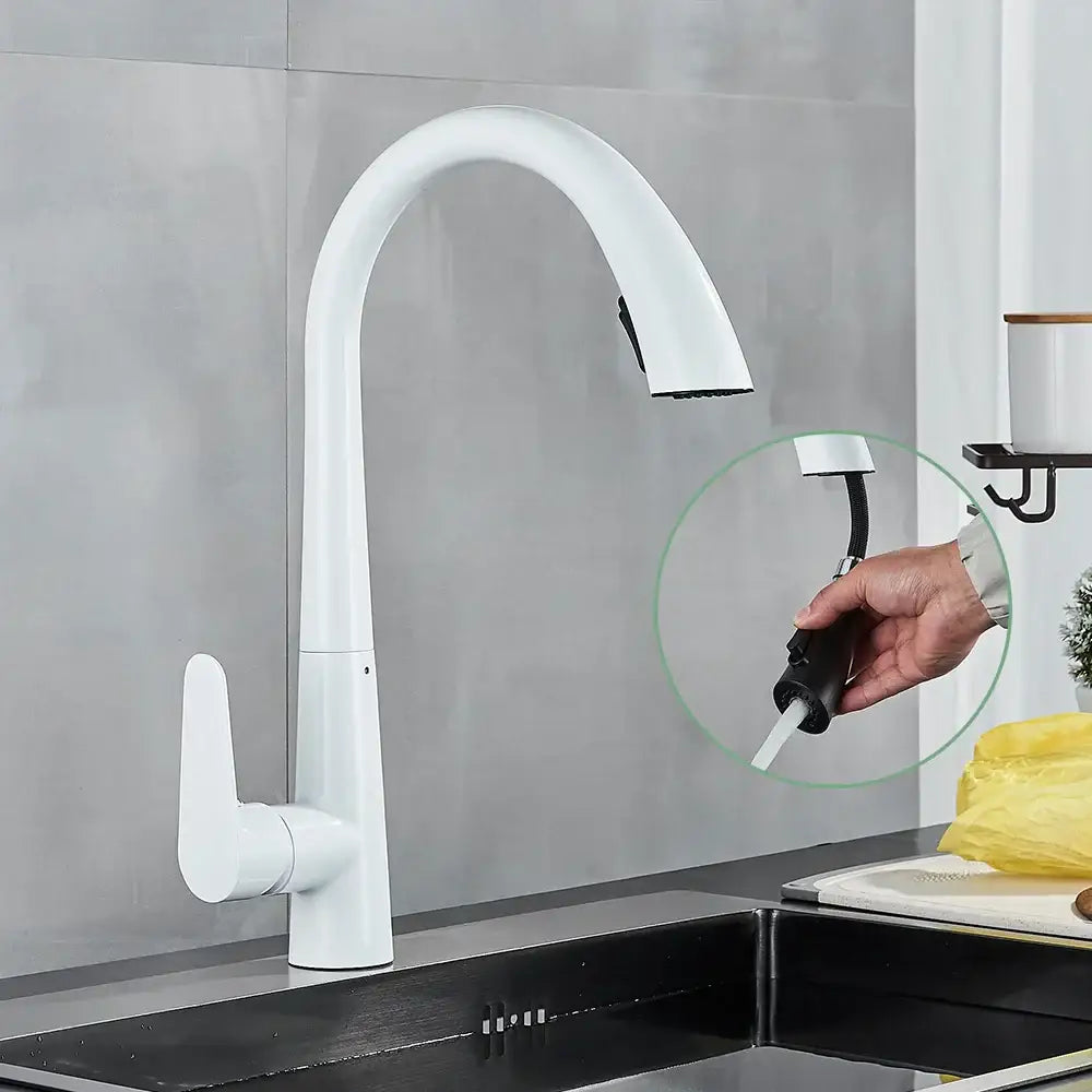 Black Single Lever Sprayer Faucet