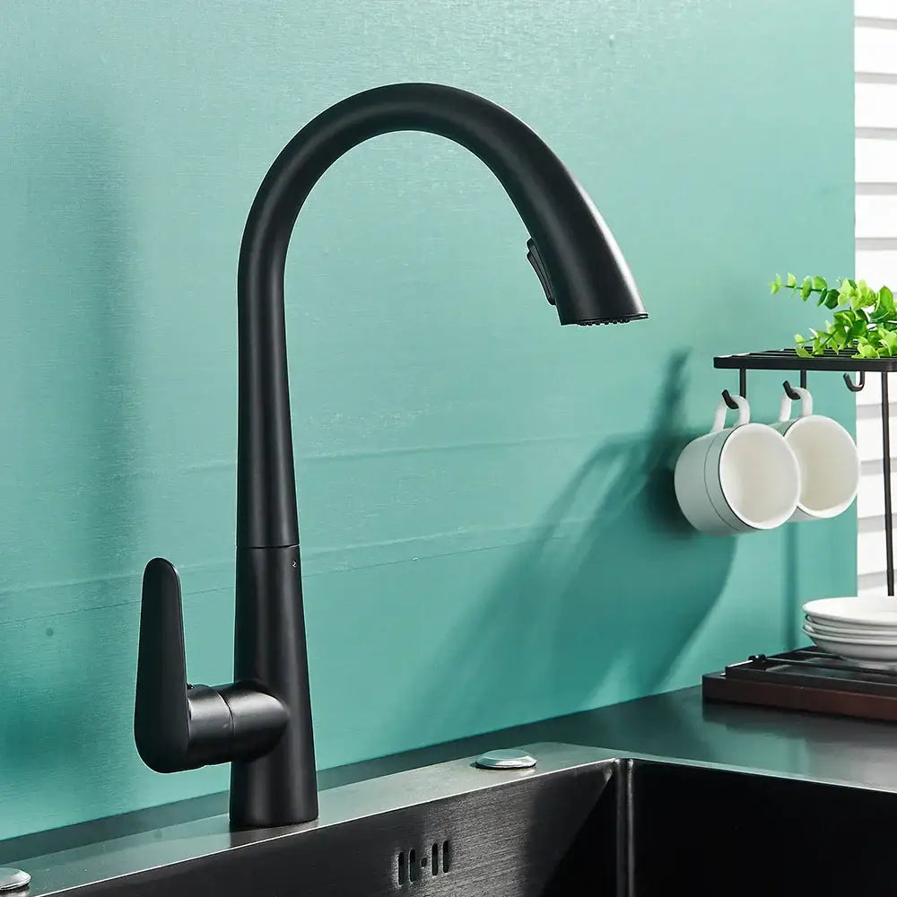Black Single Lever Sprayer Faucet