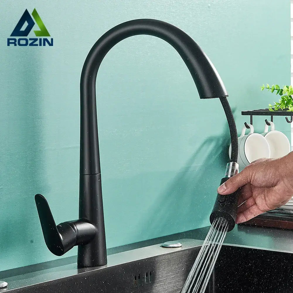 Black Single Lever Sprayer Faucet