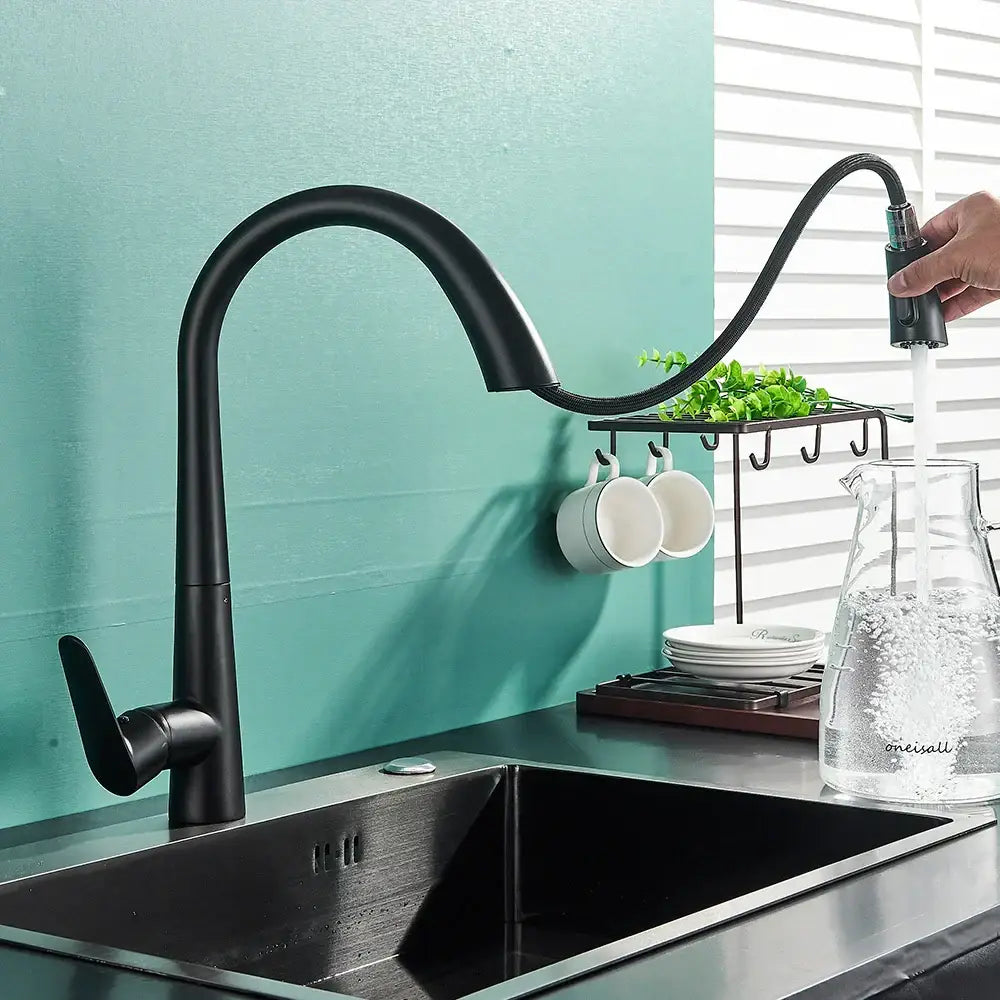 Black Single Lever Sprayer Faucet