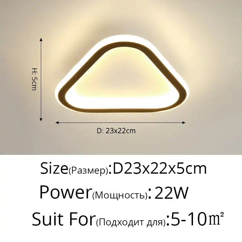 Black Round LED Ceiling Light