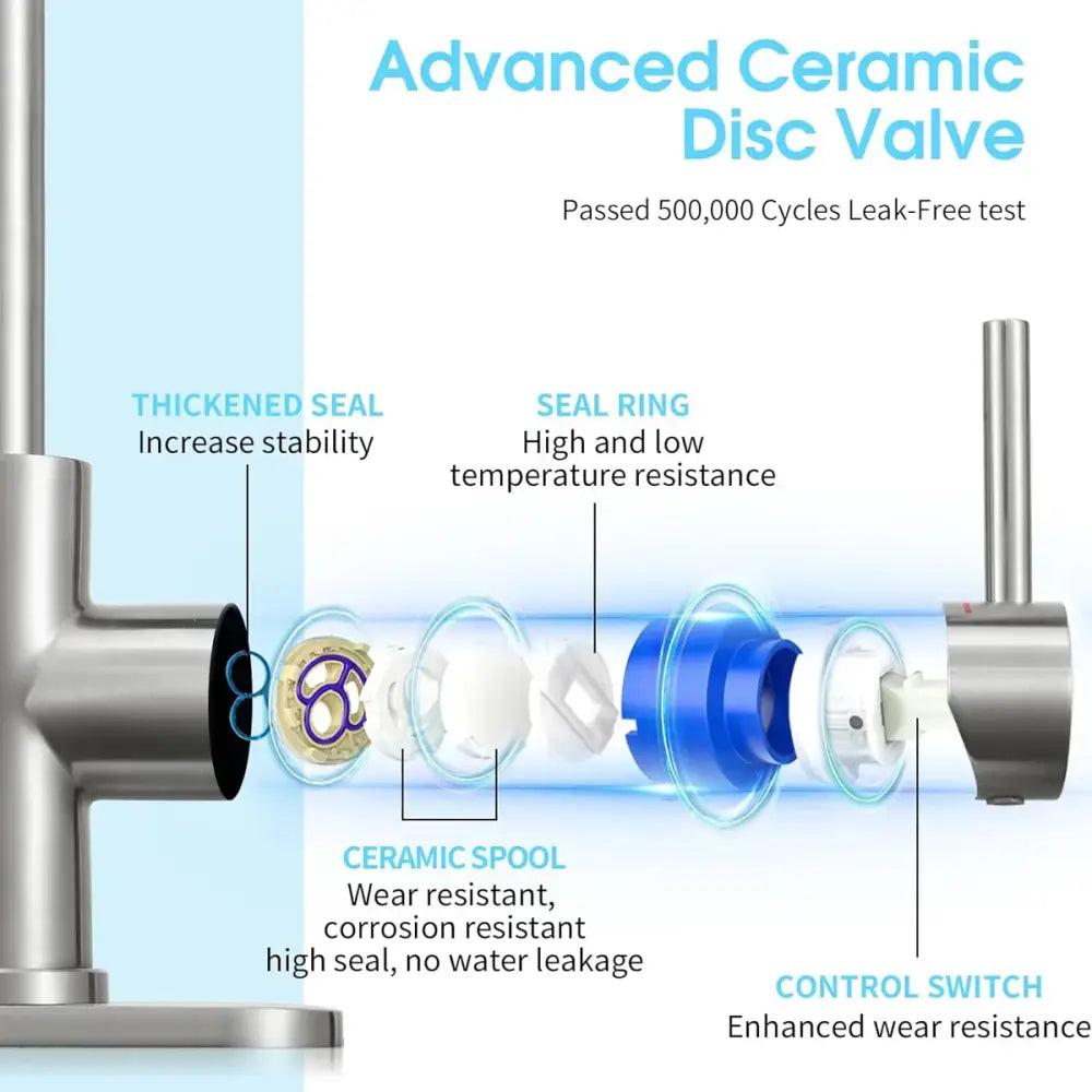 Black Stainless Kitchen Faucet