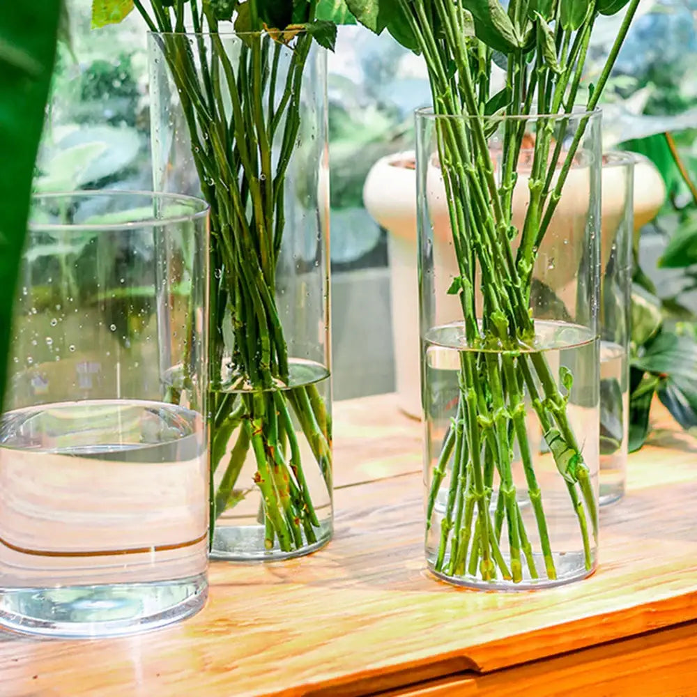 Acrylic Hurricane Flower Vase