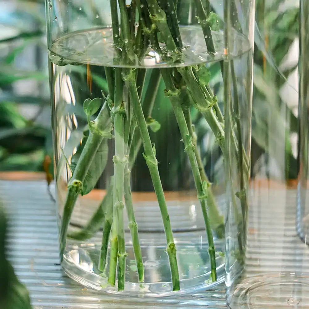 Acrylic Hurricane Flower Vase