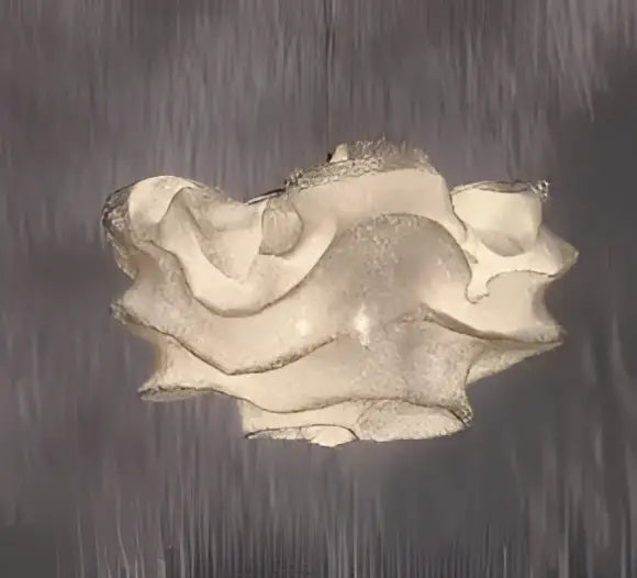 Cream Cloud Pendant Light