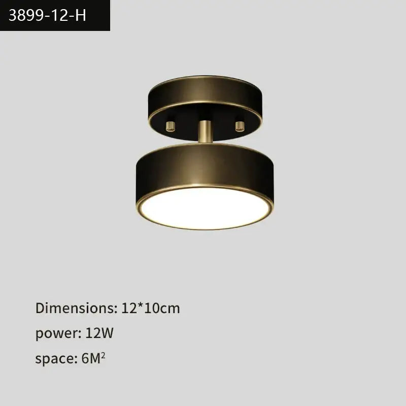 Copper LED Ceiling Lamp
