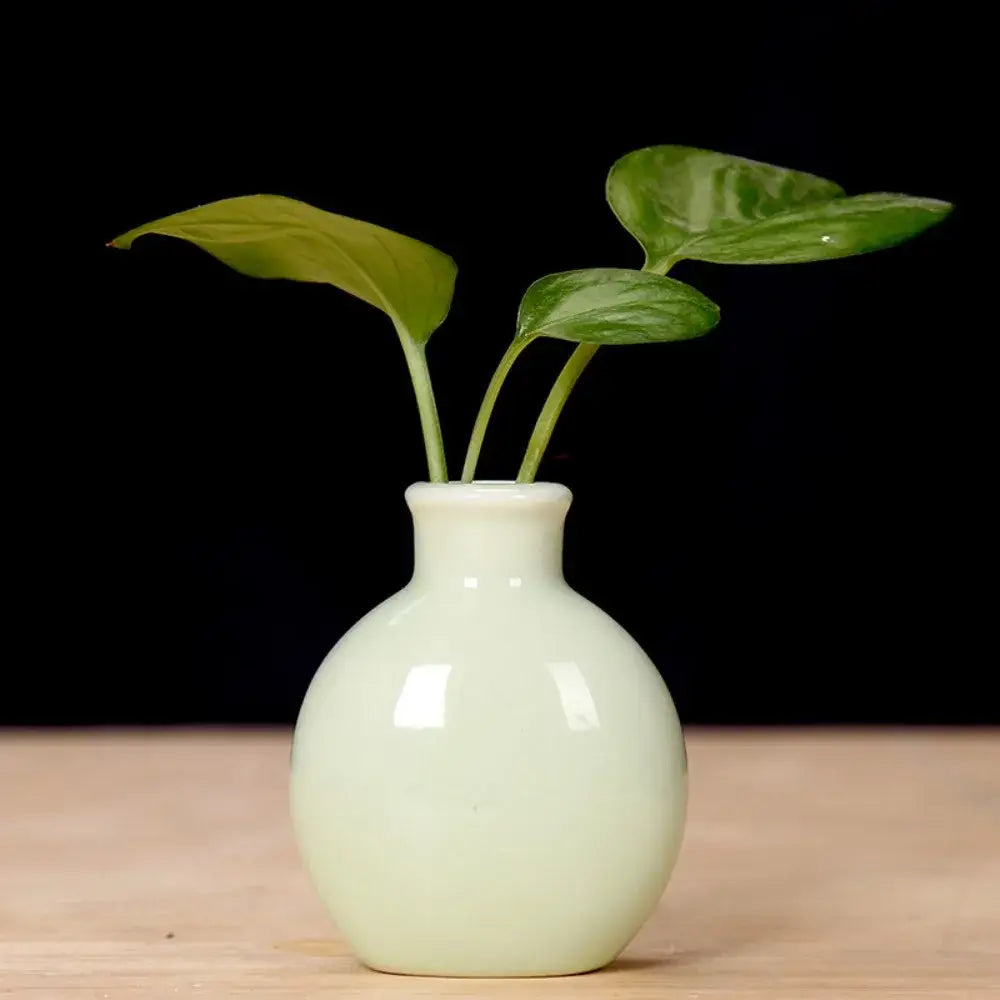Mini Ceramic Vase Set