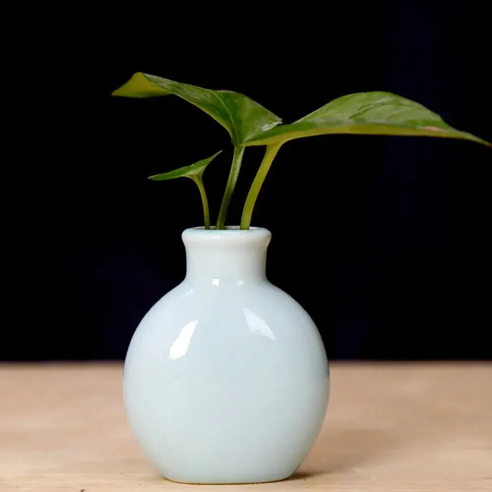 Mini Ceramic Vase Set
