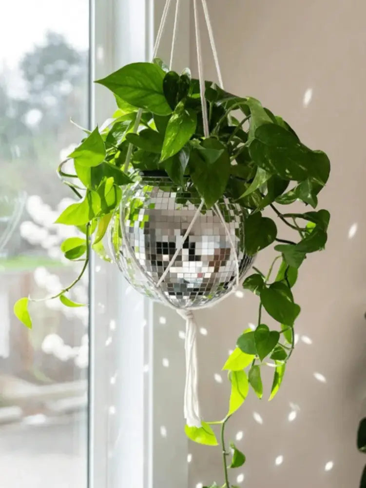 Silver Glass Round Vase