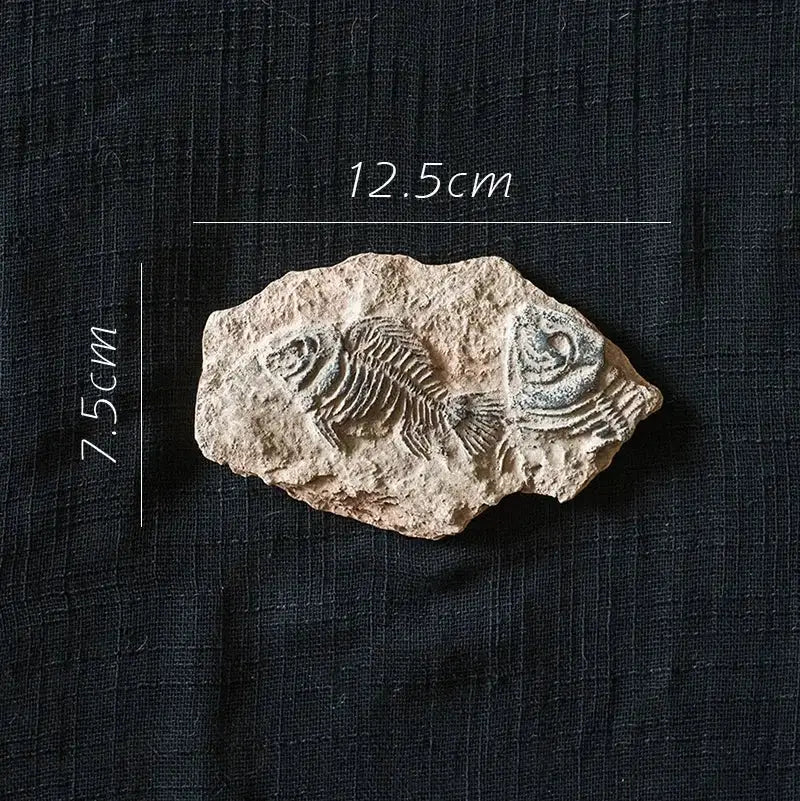 Resin Fossil Fridge Stickers