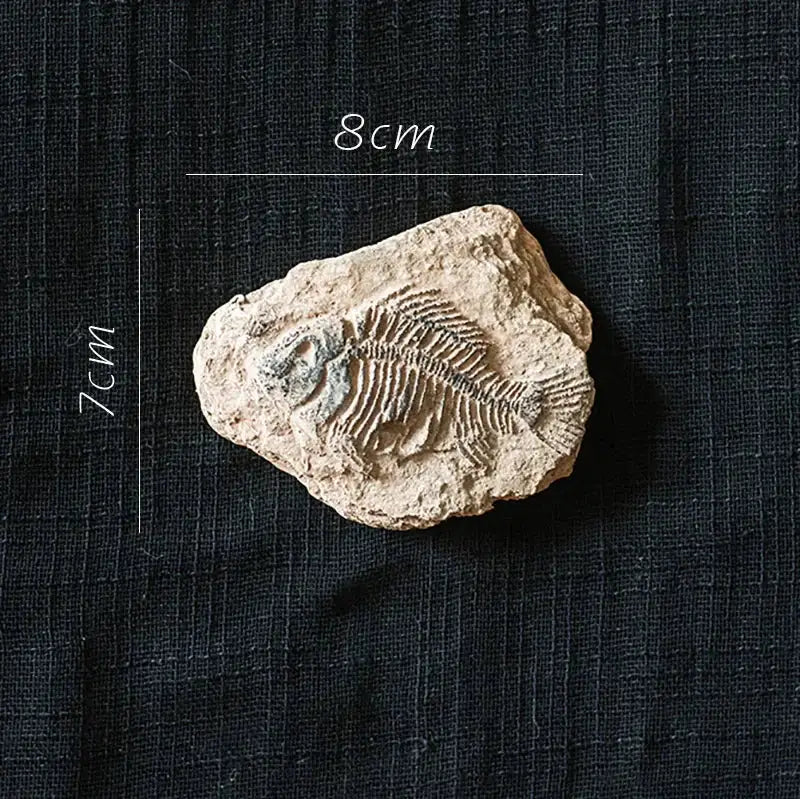 Resin Fossil Fridge Stickers