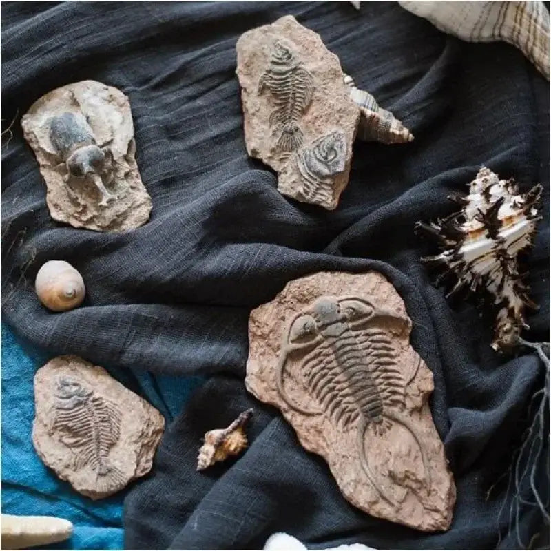 Resin Fossil Fridge Stickers