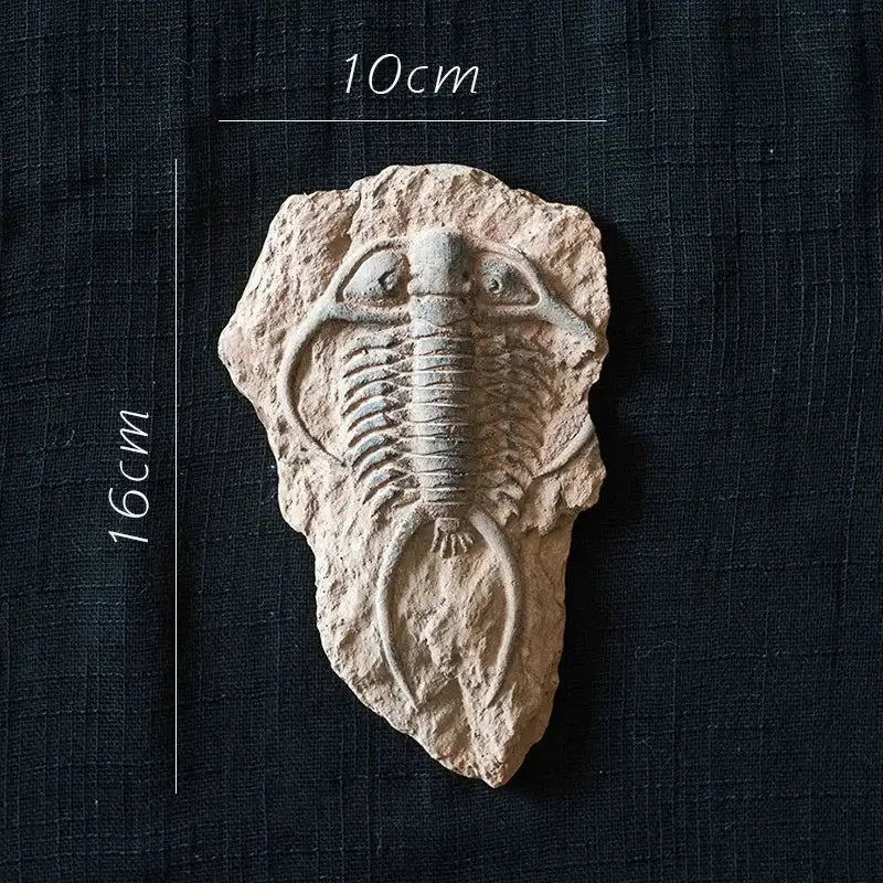 Resin Fossil Fridge Stickers