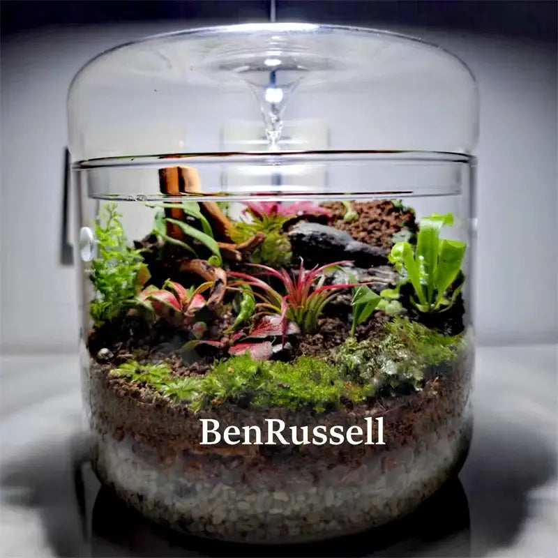 Glass Moss Terrarium Vase