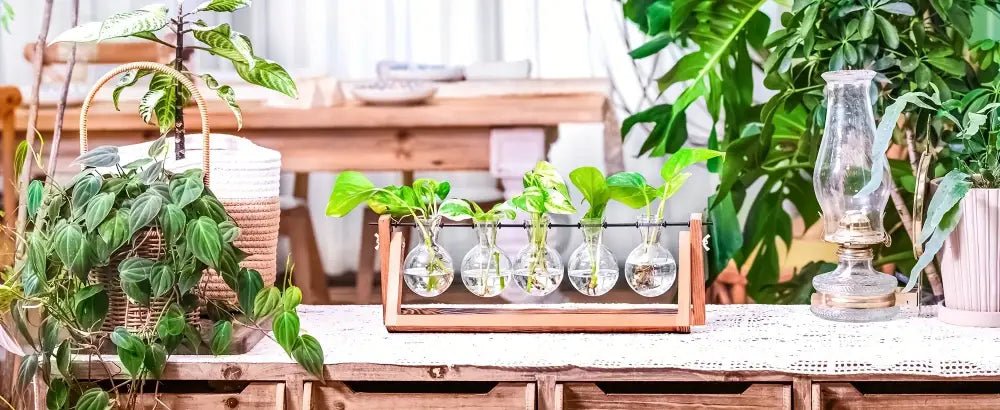 Wood Glass Propagation Vase