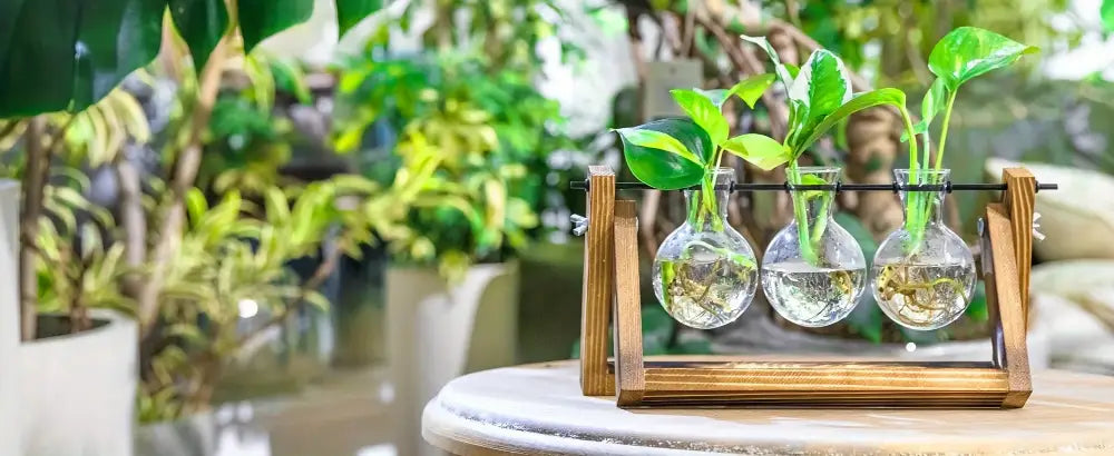 Wood Glass Propagation Vase