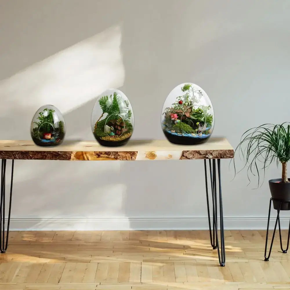 Glass Egg Terrarium Vase