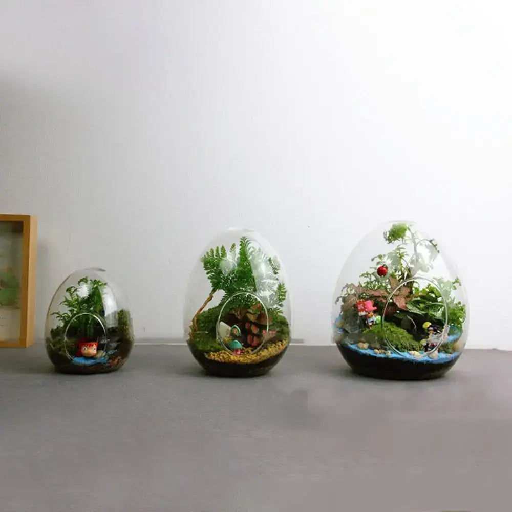 Glass Egg Terrarium Vase