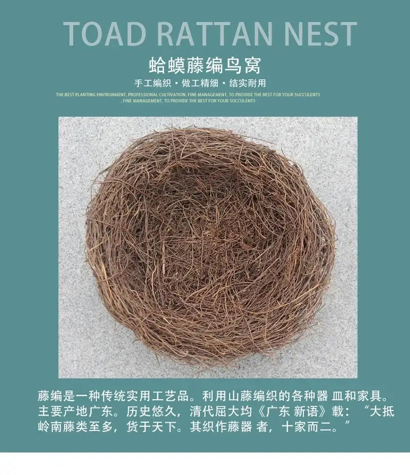 Brown Rattan Bird Nest