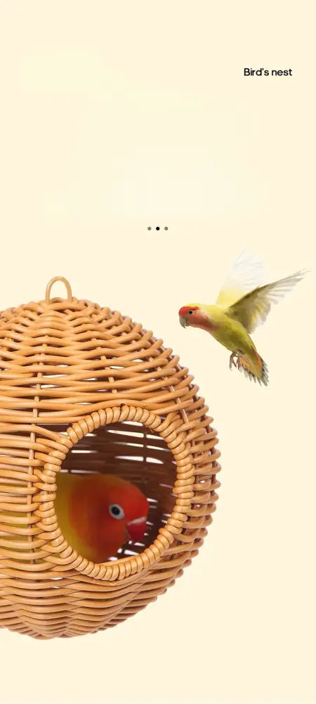Grass Woven Bird Cage