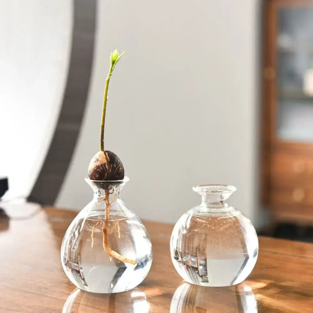 Clear Glass Avocado Vase