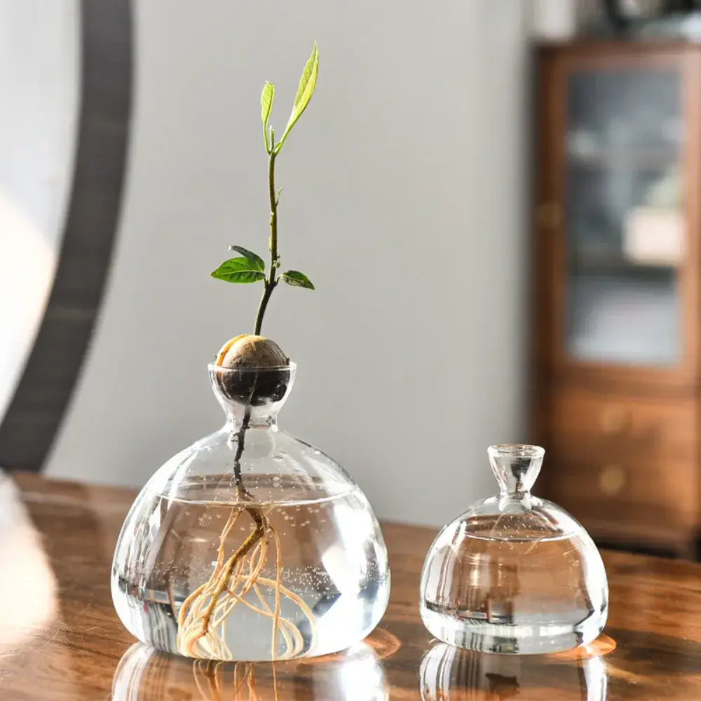 Clear Glass Avocado Vase