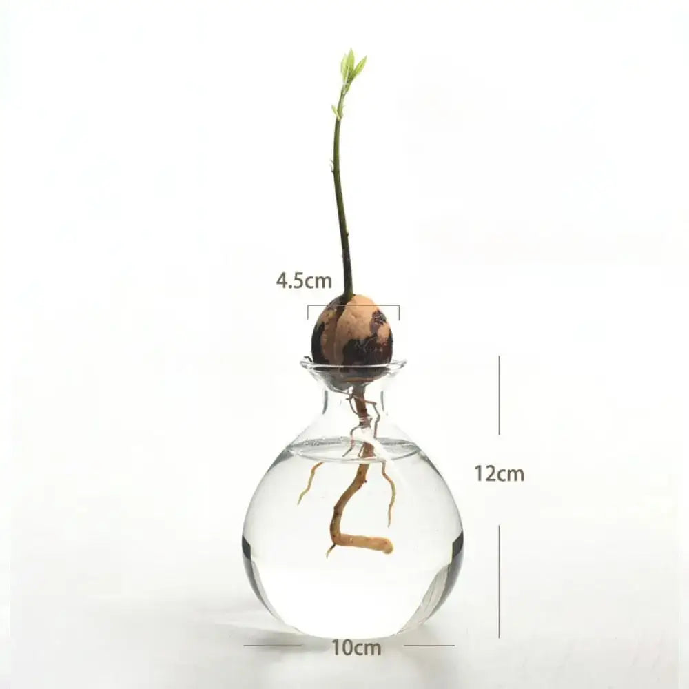 Clear Glass Avocado Vase