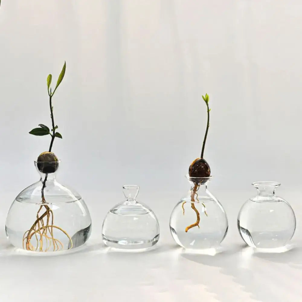 Clear Glass Avocado Vase