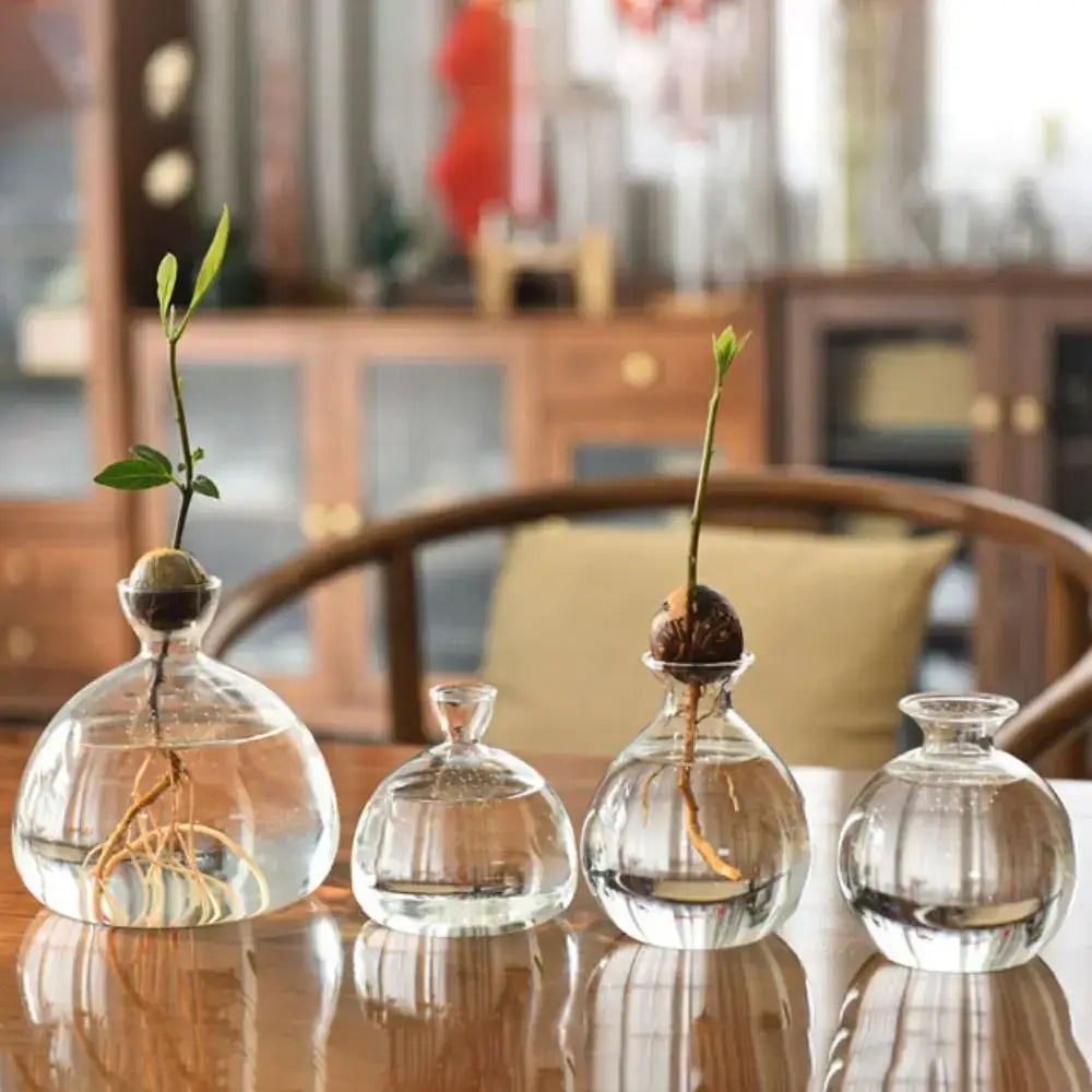 Clear Glass Avocado Vase
