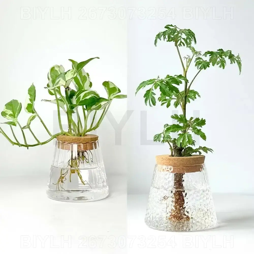 Glass and Wood Planters