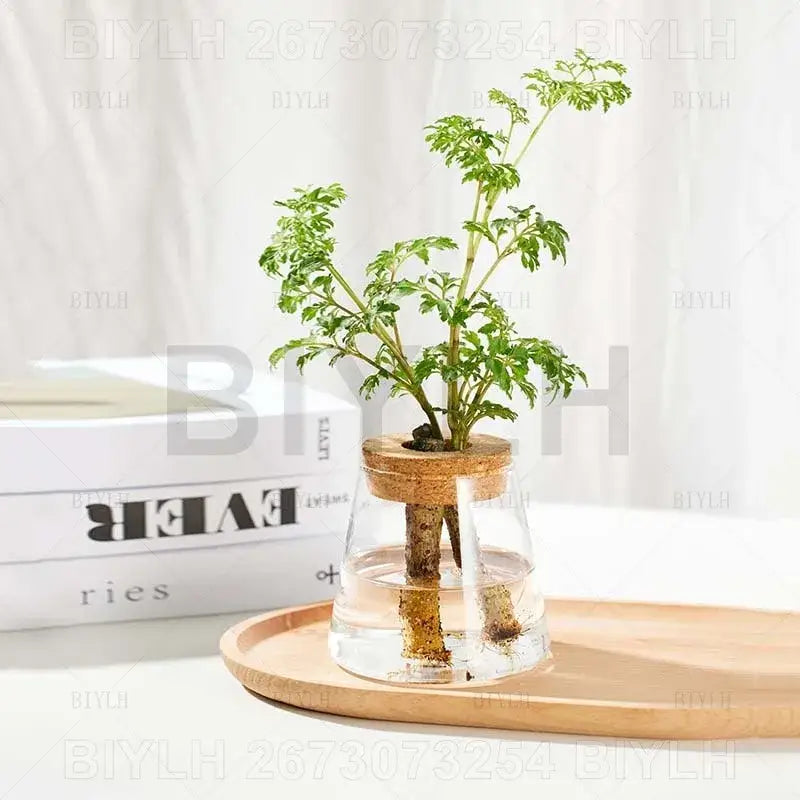 Glass and Wood Planters