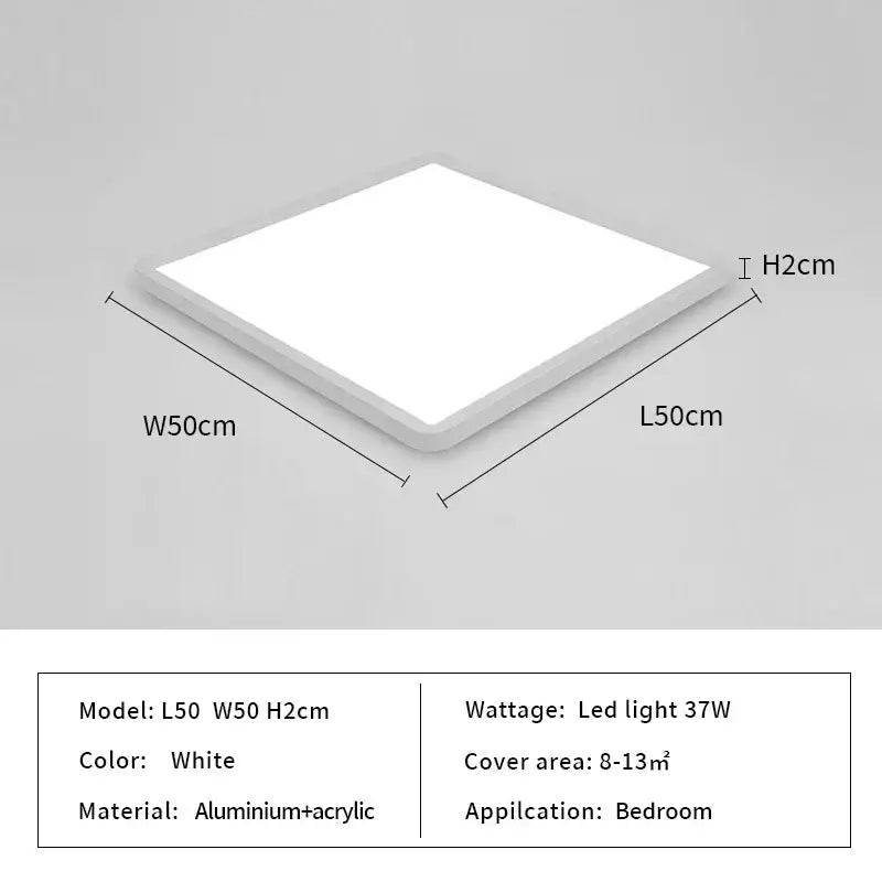 Black Modern Ceiling Light