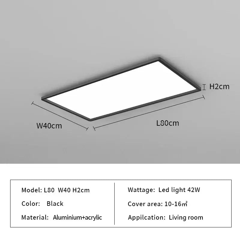 Black Modern Ceiling Light