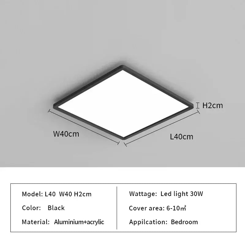 Black Modern Ceiling Light