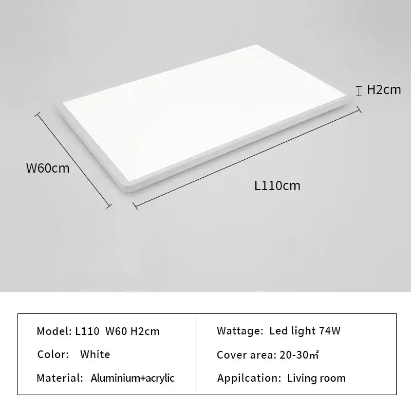 Black Modern Ceiling Light