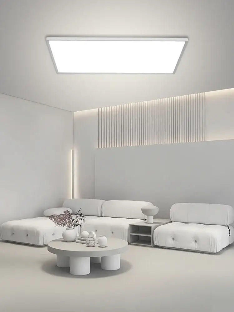 Black Modern Ceiling Light