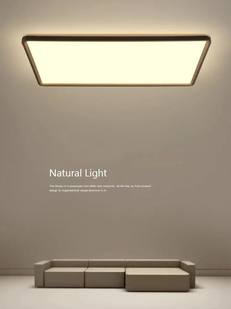 Black Modern Ceiling Light