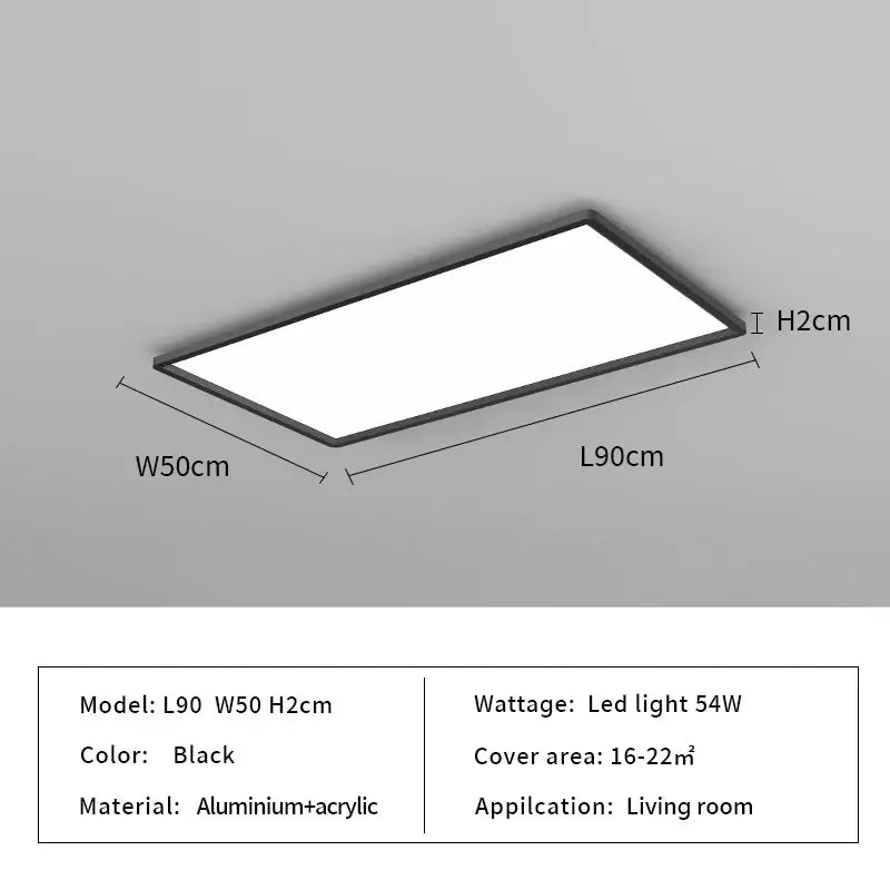 Black Modern Ceiling Light