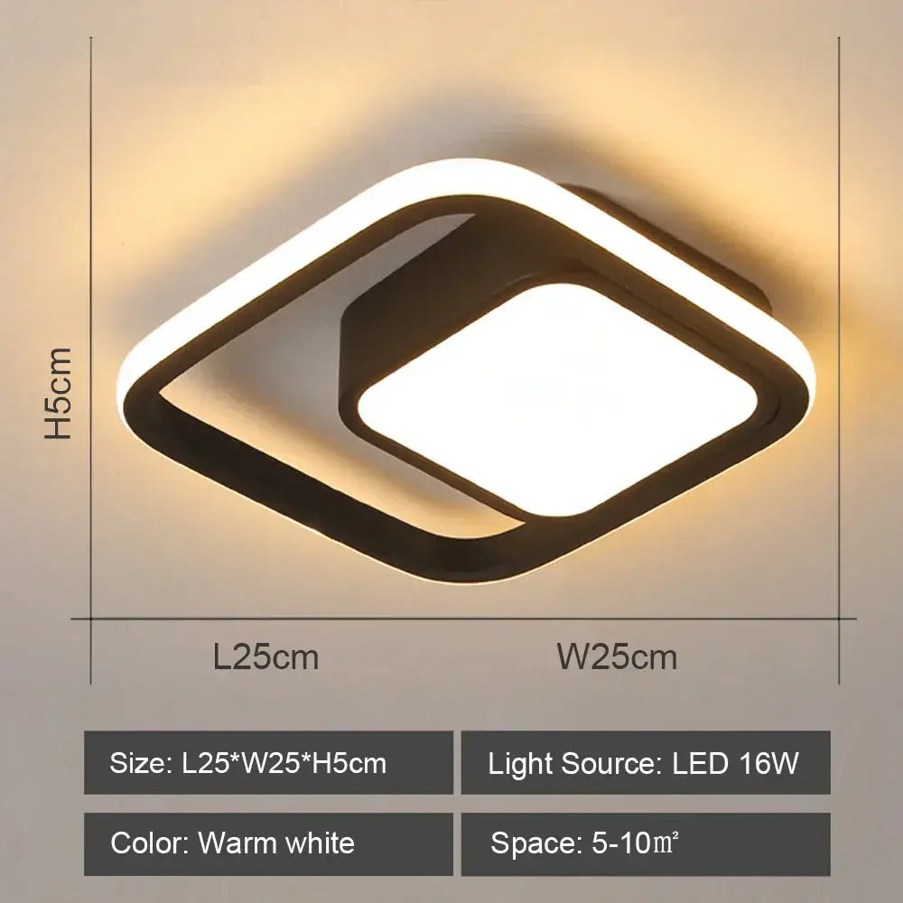 Black White LED Ceiling