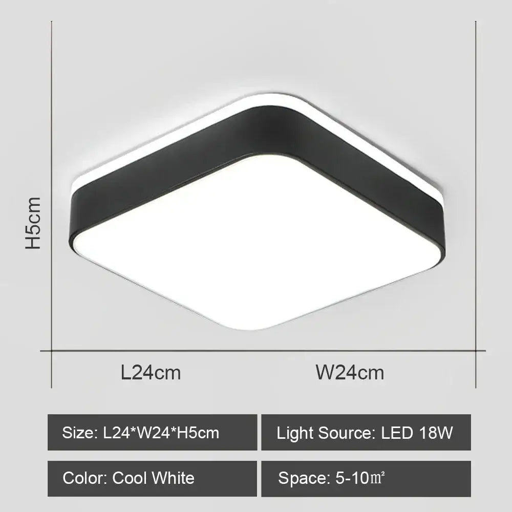Black White LED Ceiling
