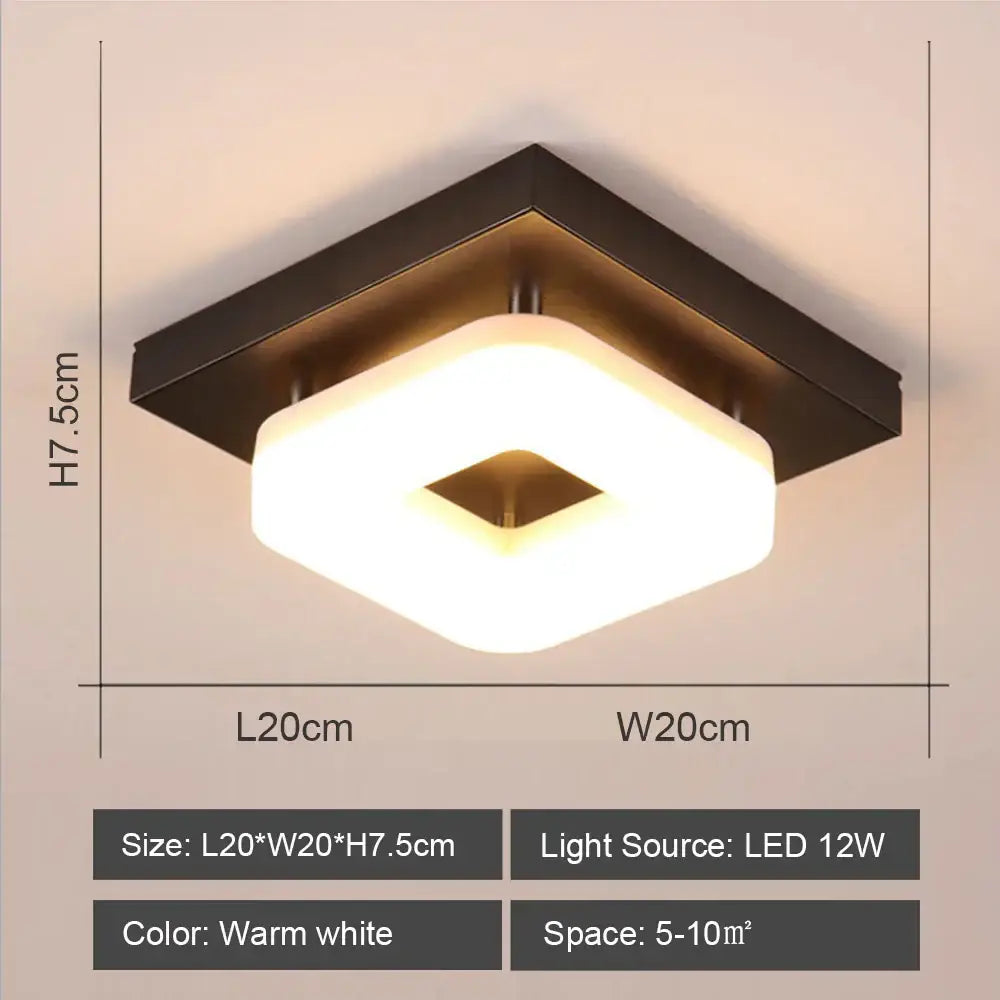 Black White LED Ceiling