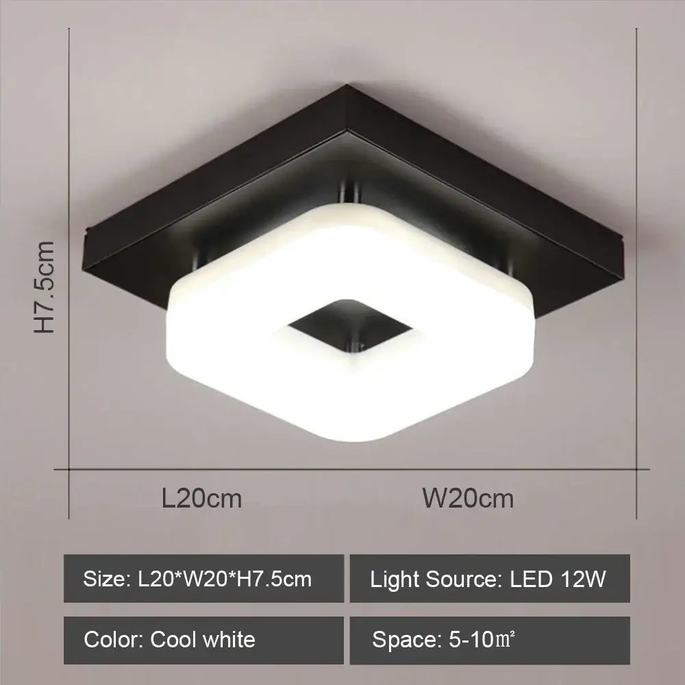 Black White LED Ceiling